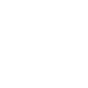 Solar Impulse Foundation Logo