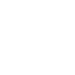 TECHO Logo